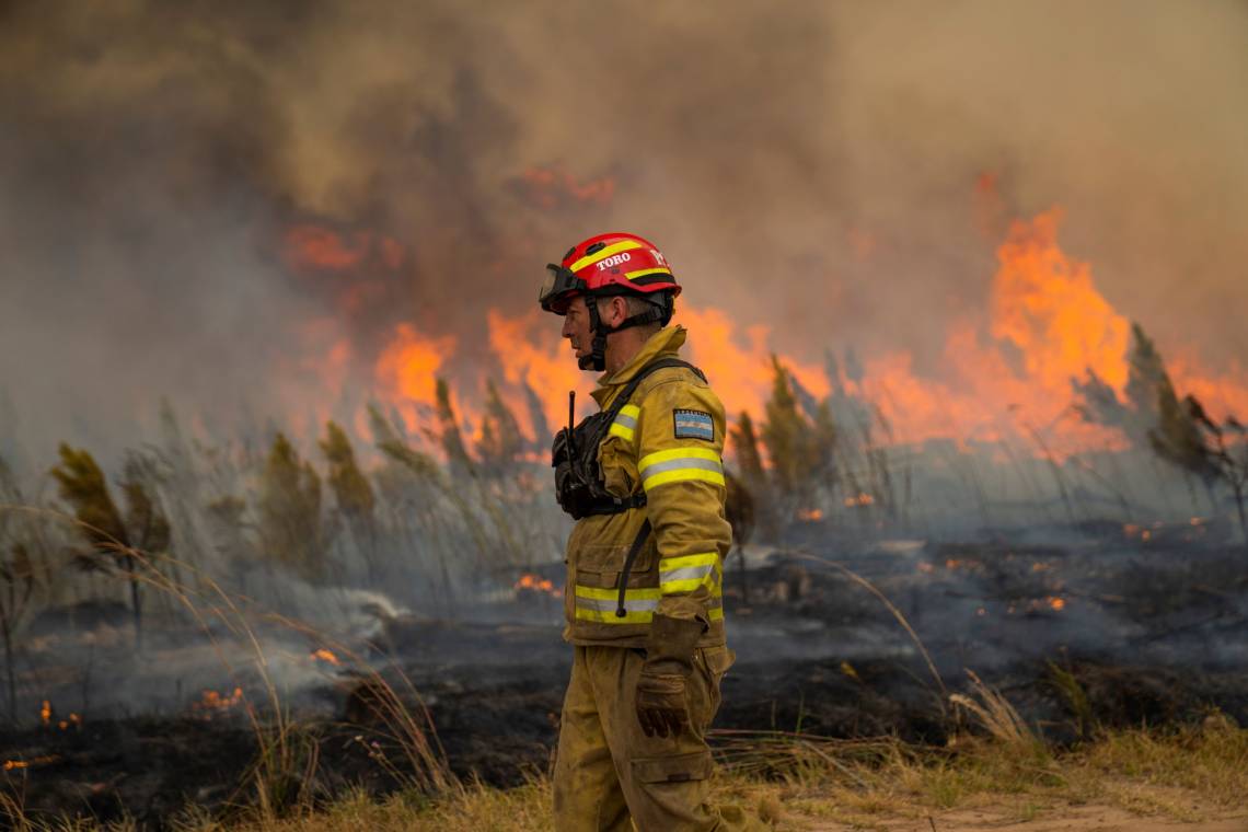 Alto el fuego: una app que detecta en forma temprana incendios forestales con IA