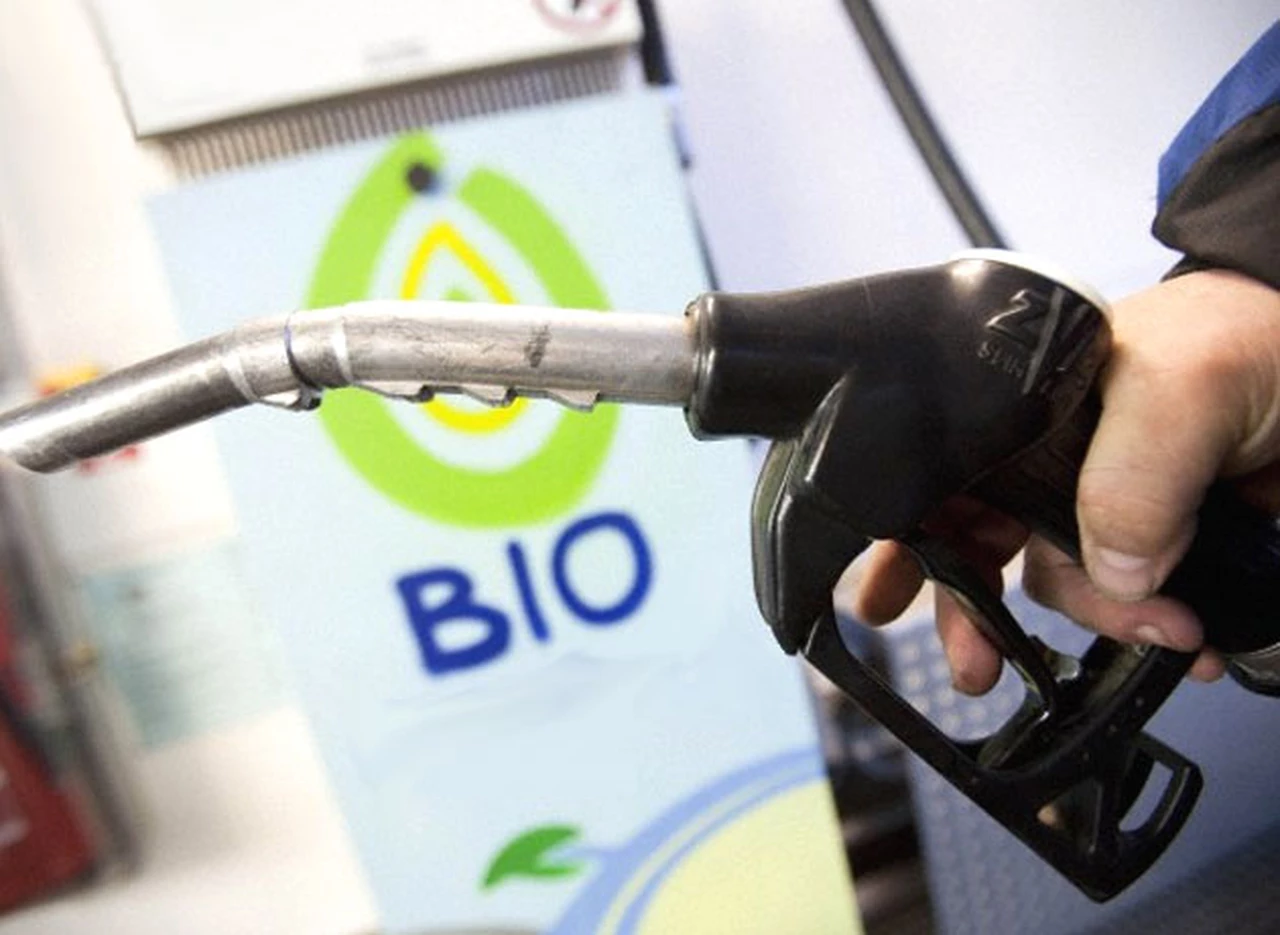 Indonesia mete primera con el uso de biodiesel a base de aceite de palma