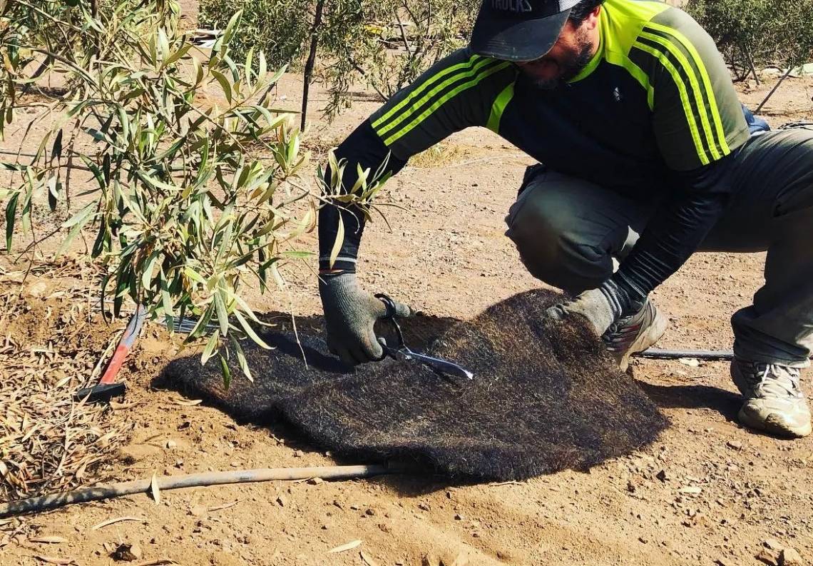 Reciclan pelo humano para cuidar el agua y el suelo