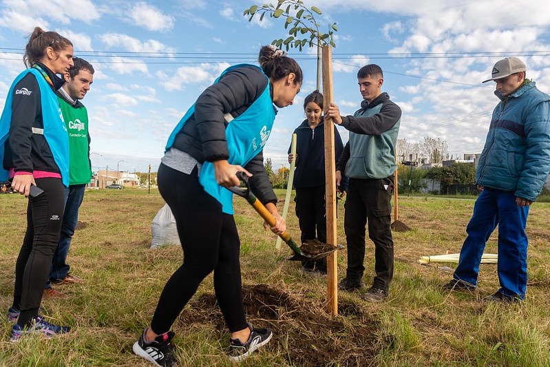 Las especies nativas plantan bandera en los barrios de Rosario